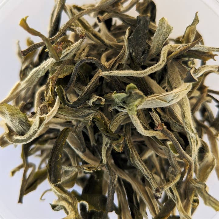 Thé vert Mao Feng First Flush pour la vente par Cultivate Taste Tea