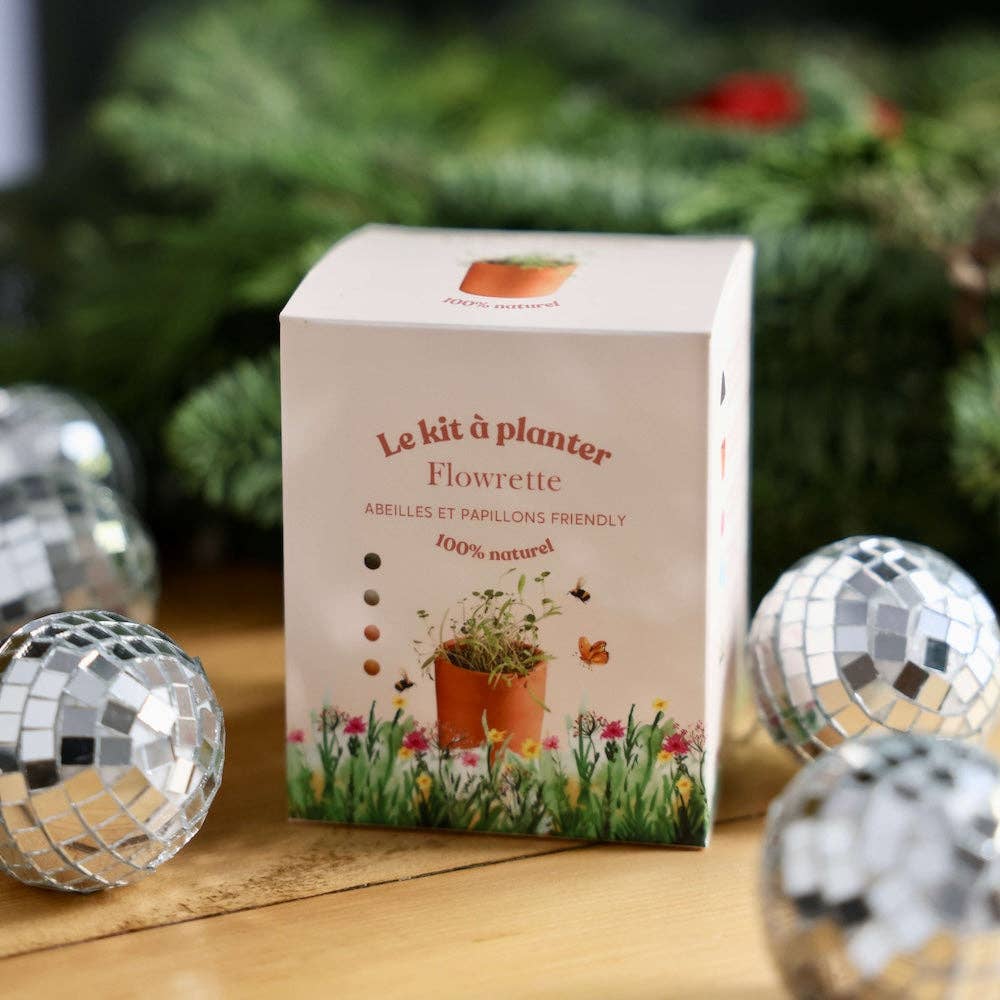 Flowrette - Wholesale Plant Seeds - Planting kit0