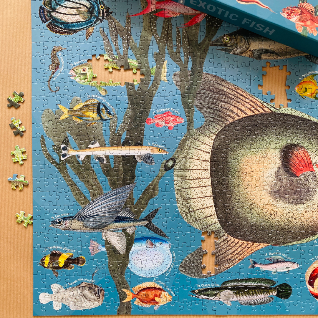 Penny Puzzle – wholesale Puzzle – Adult – Exotic Fish 1000 piece Vintage jigsaw puzzle5