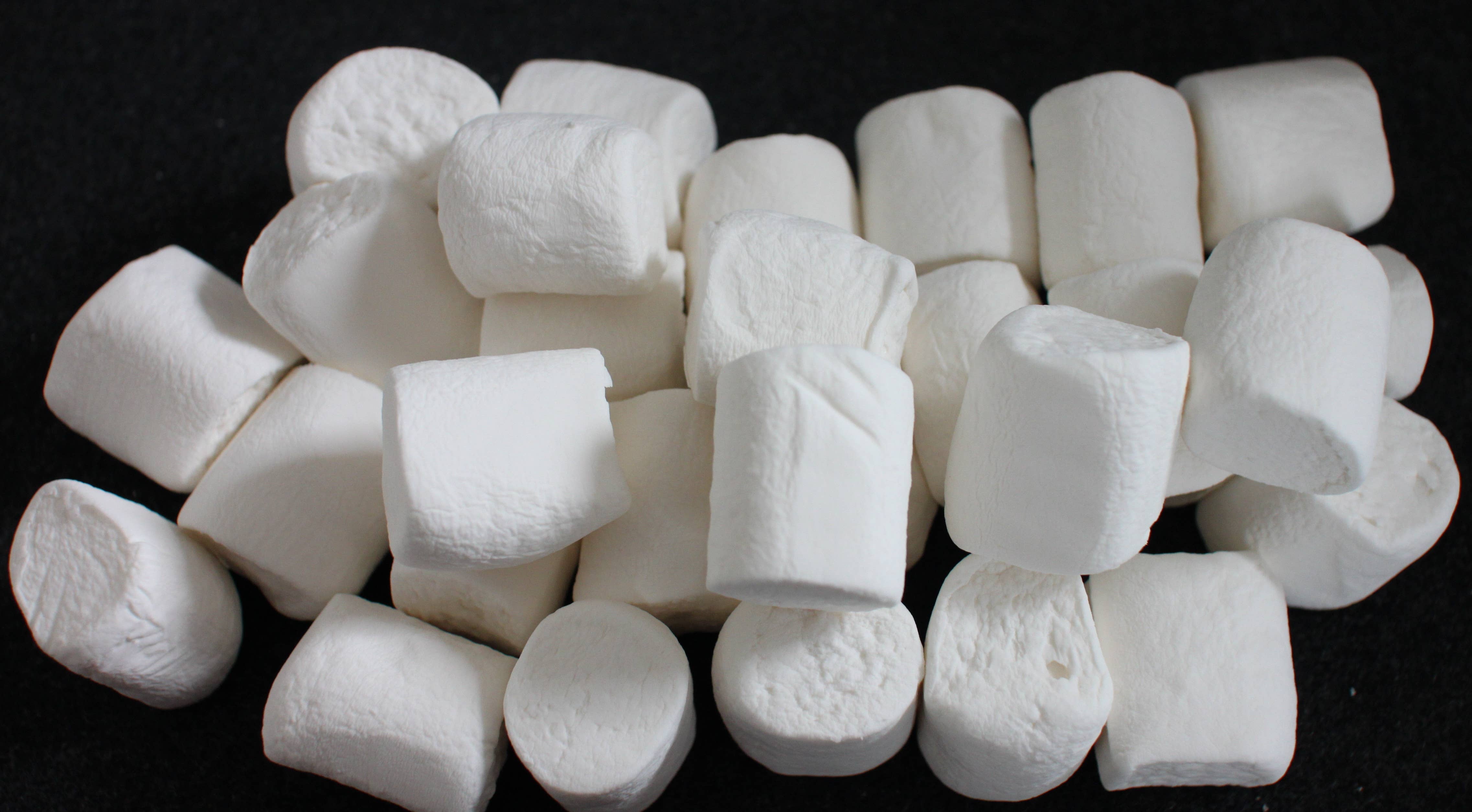 Goodness Goodies - Vendita all'ingrosso Marshmallow - Dandies Vegan Marshmallow Regular Foodserve/borsa per catering2