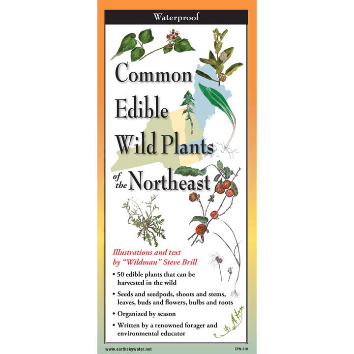 Earth Sky + Water - Wholesale Nature & Outdoors - Common Edible Wild Plants of the Northeast Nature Guide
