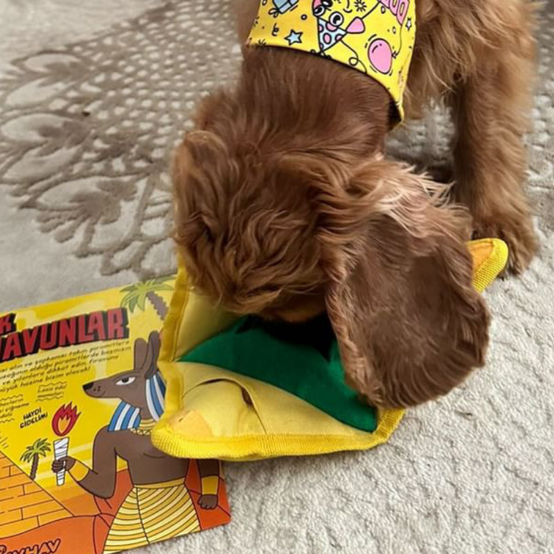 WufWuf - Wholesale Pet Toy - Dog - WufWuf 2-in-1 Pyramid Interactive Treat Dispensing Dog Toy7