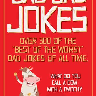 Libro di barzellette su Bad Dad per la vendita all'ingrosso da parte di Willow Creek Press & Gifts