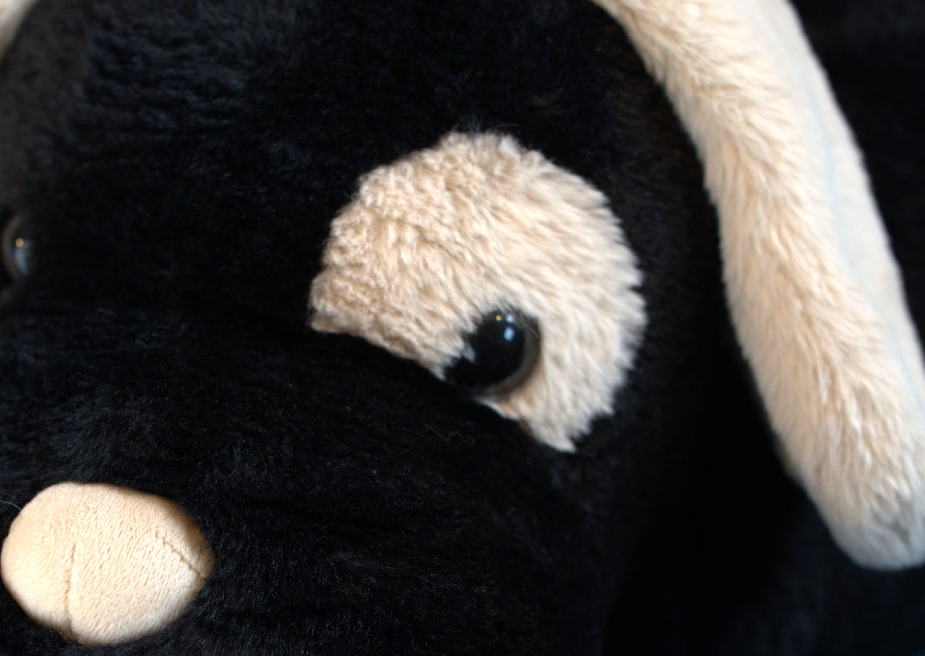 Cuddlery - Wholesale Stuffed/Plush Toy - Kids & Baby - CUDDLERY 6 LBS Black Dog - Weighted Stuffed Animal1