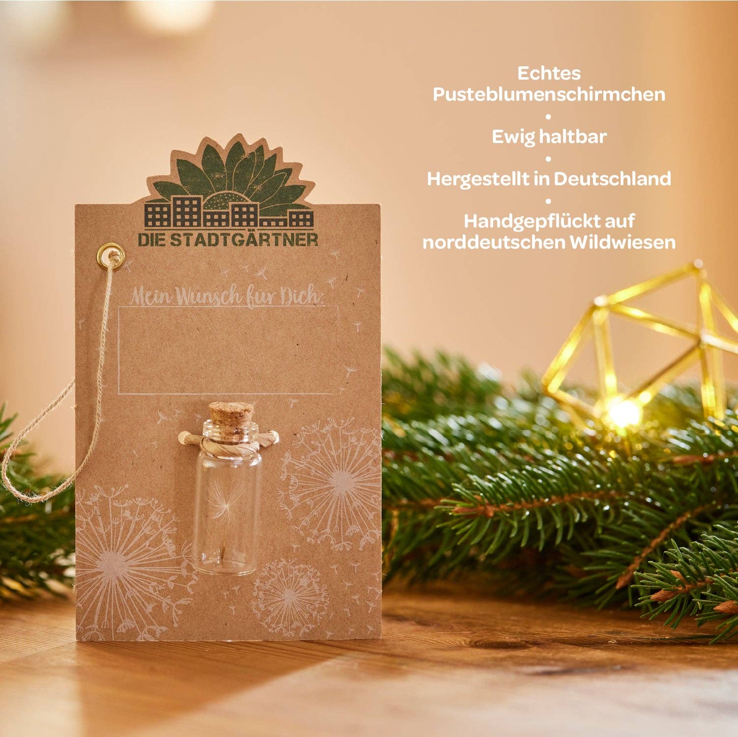 TDJ Stadtgärtner GmbH - Wholesale Party Favor - Wish fulfiller small4