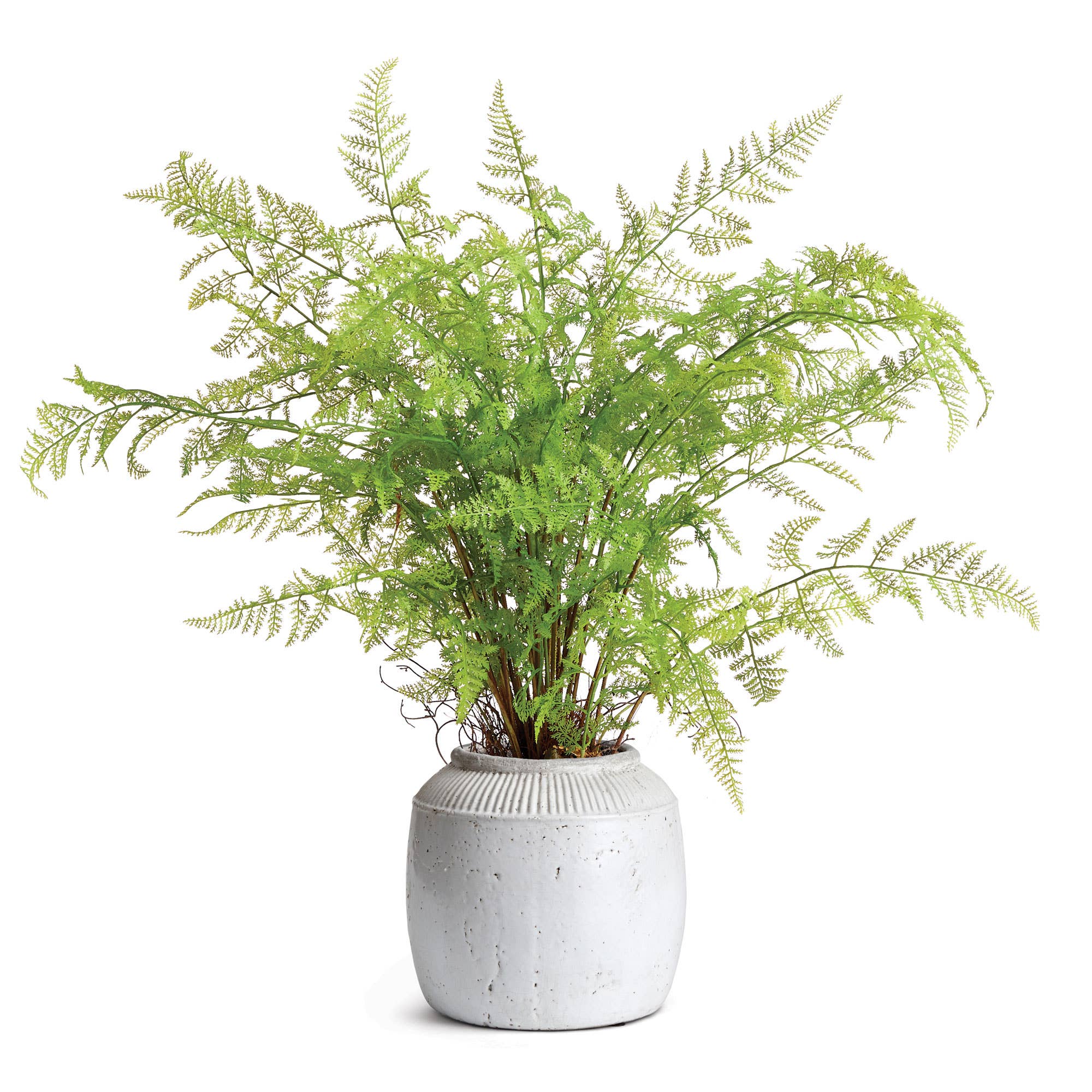 Napa Home & Garden - Wholesale Decorative Jar - Etruia Jar Large3