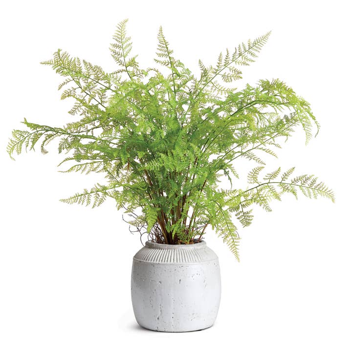 Napa Home & Garden - Wholesale Decorative Jar - Etruia Jar Large3