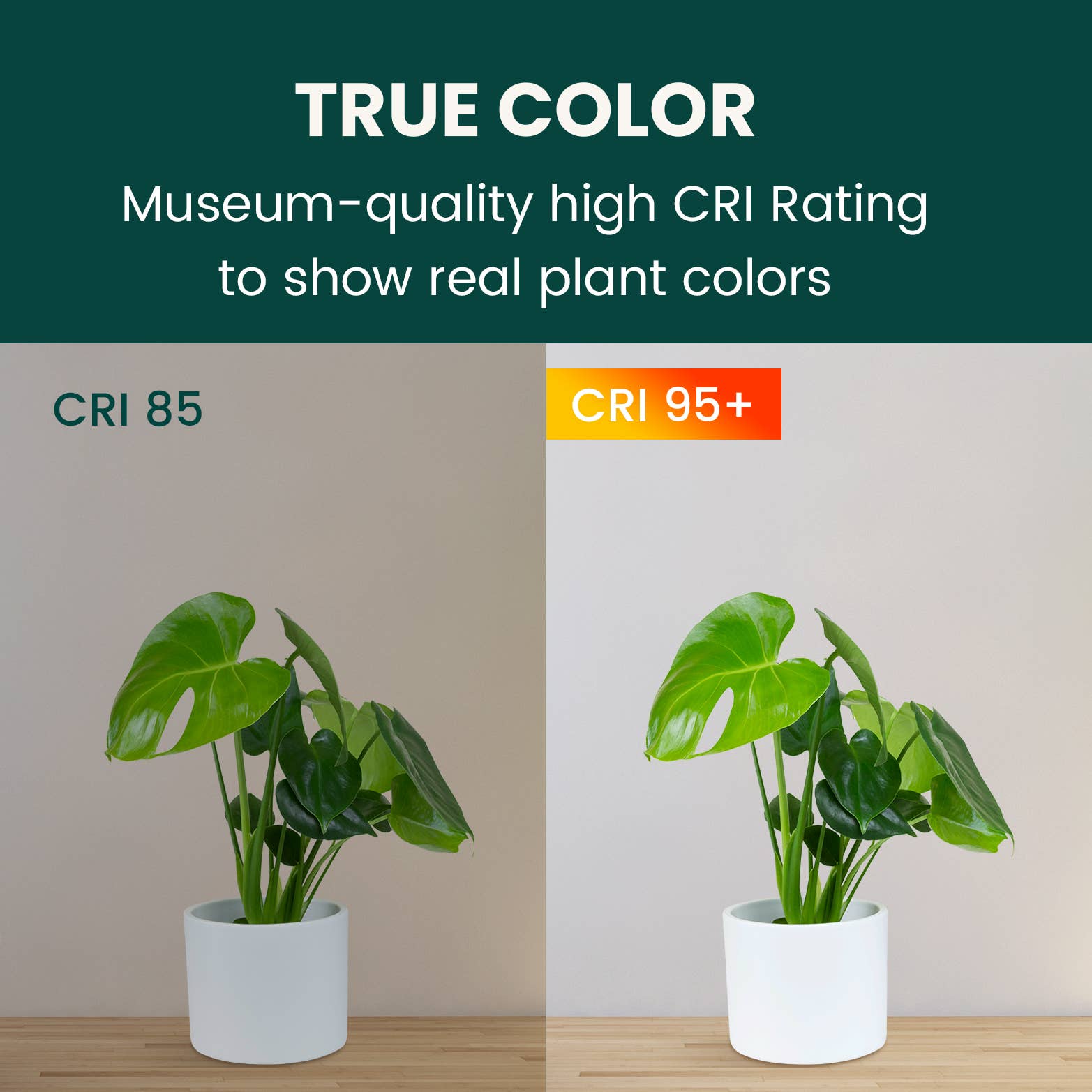 MY CITY GARDEN - Wholesale Garden Tool - CLIP & GROW, Decor LED Grow Lights, 3000K, 4 Heads3