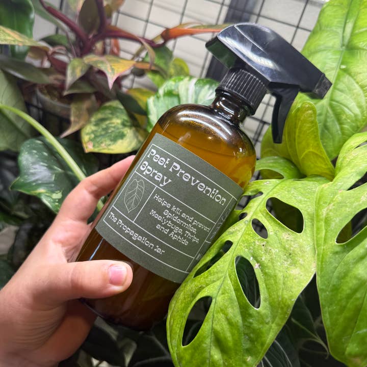 Pest Prevention Spray for wholesale by The Propagation Jar