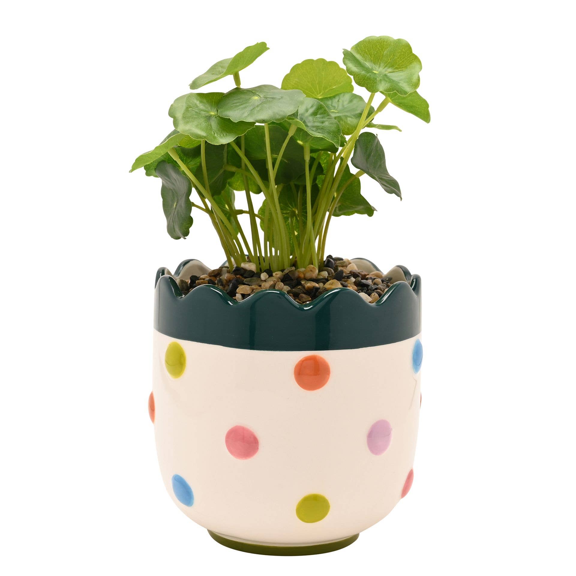 WIDDOP and Co. - Wholesale Artificial Plant - Raspberry Blossom Bobble Planter With Faux Plant3