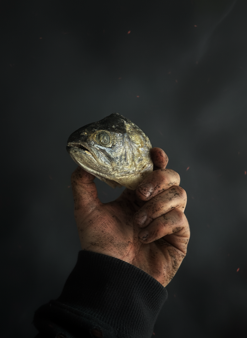 CorpseCo. - Wholesale Pet Treats - Dog - Corpse Crunchies: Trout Heads1