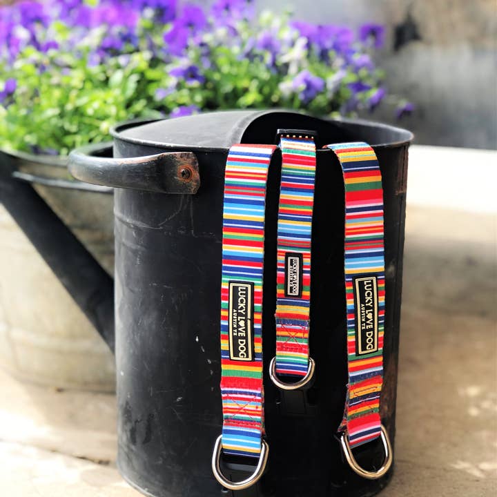 Lucky Love Dog – coleira - Cão por atacado – Coleira Hippie Cão4