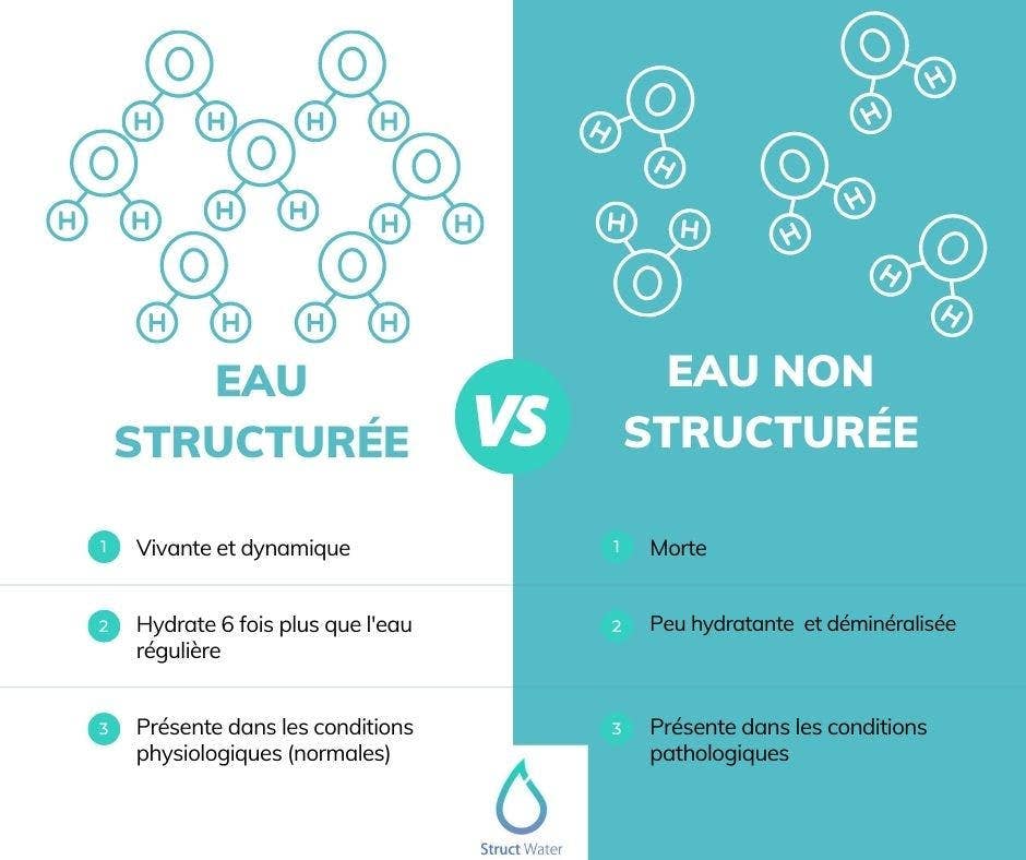 STRUCTWATER FRANCE - Vendita all'ingrosso Filtro per acqua - STRUCTWATER per strutturare, informare, energizzare l'acqua33