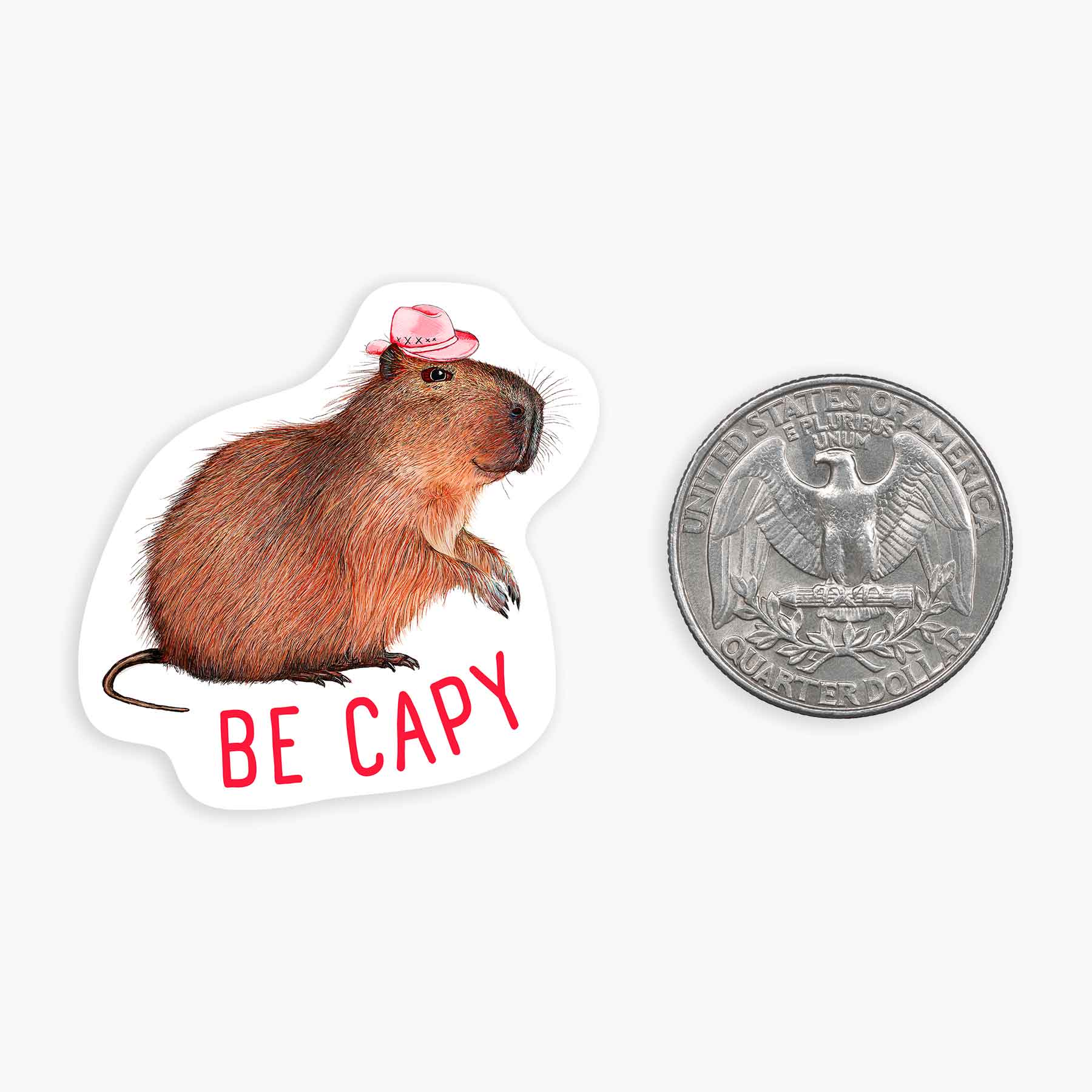 Nice Enough Stickers - Venta al por mayor Pegatina - Minipegatina Live a Capy Life0