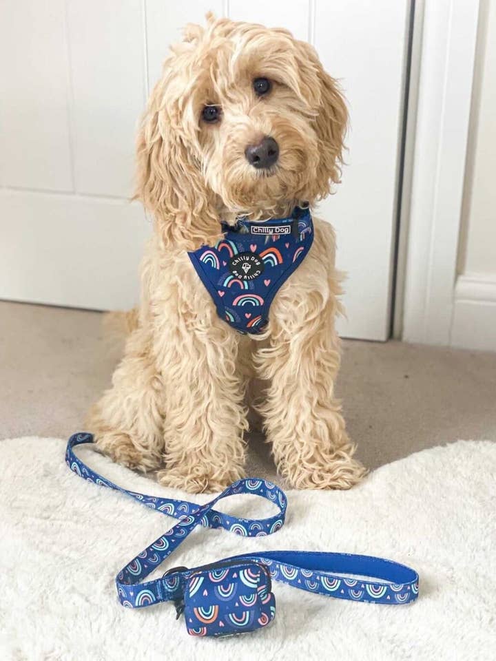 Blue Over The Rainbow Puppy Dog Harness for wholesale by Chilly Dog