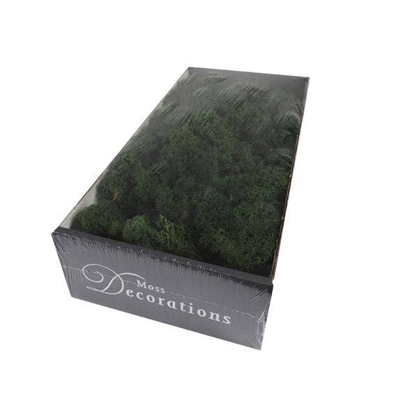 Dutch Flower Lady - Wholesale Dried/Pressed Flowers - Preserved Reindeer Moss 6 choose from colors5