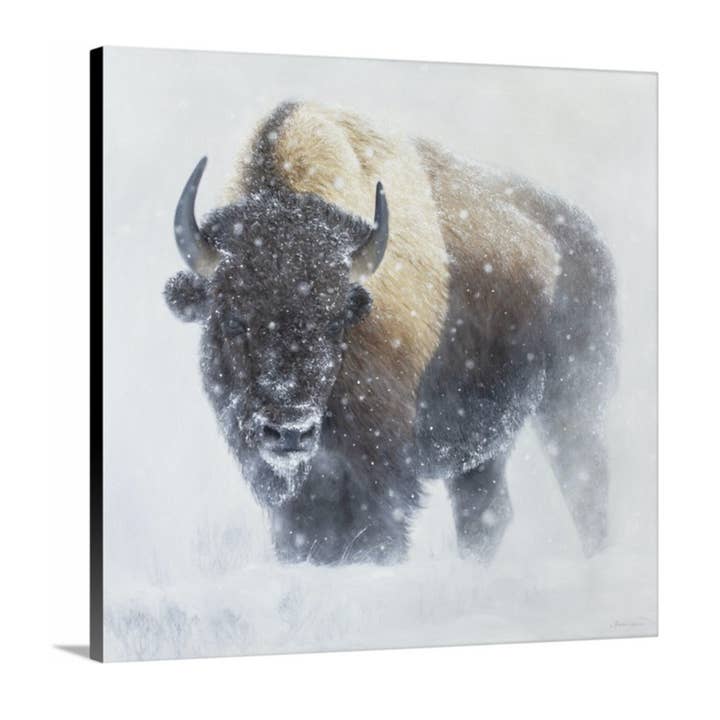 James Corwin Fine Art - Wholesale Art Print - Whiteout - Yellowstone Bison in Winter - Animal Art Print1