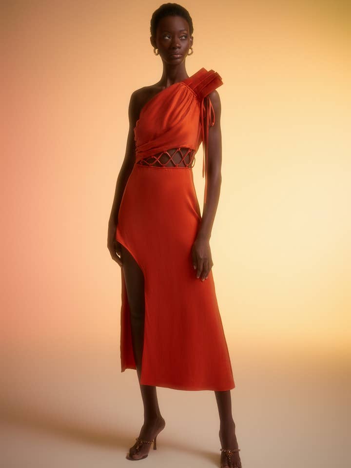 Victoria Kjole for engroshandel hos Born Villain