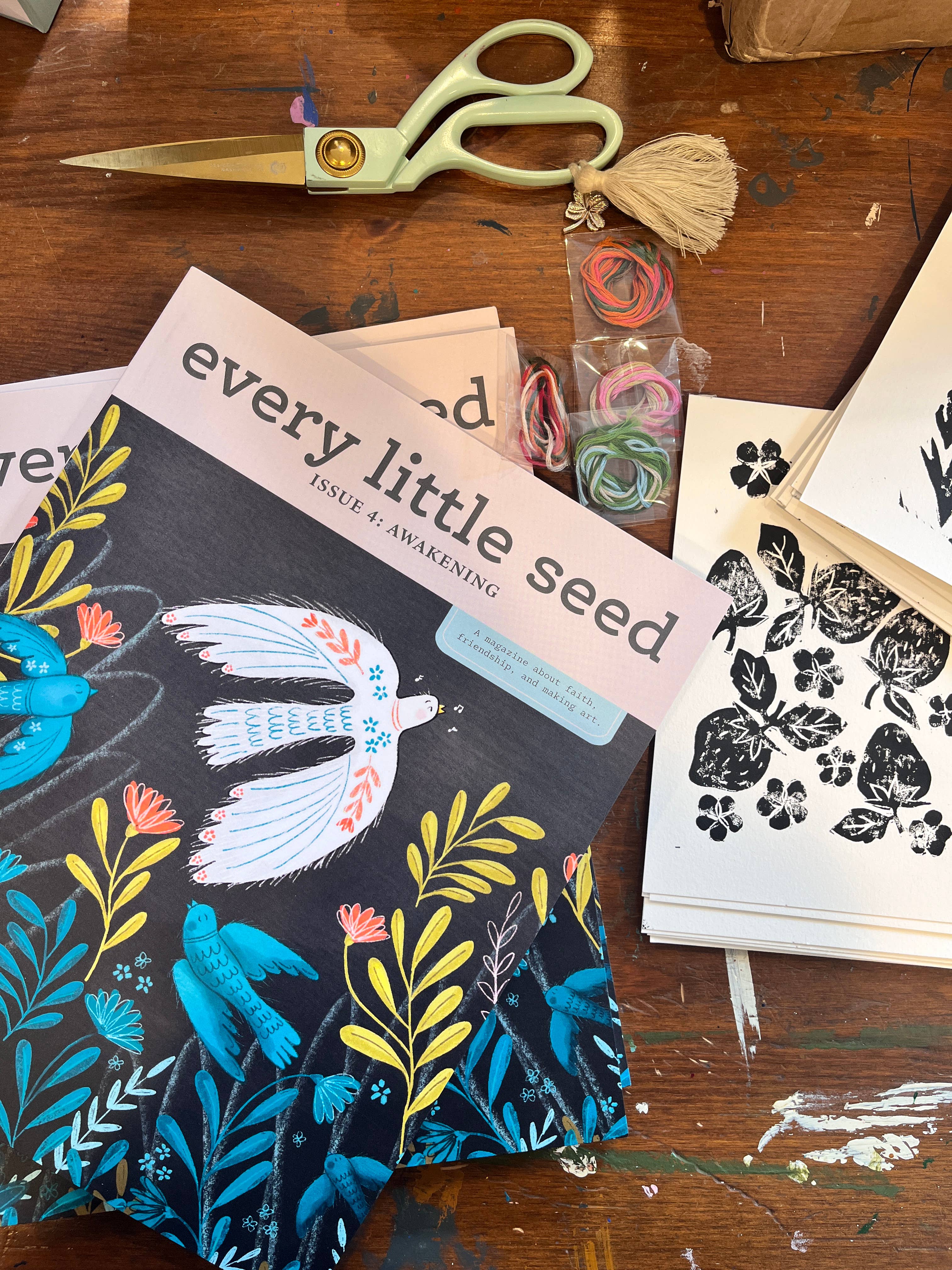 Every Little Seed - Wholesale Magazine - Awakening5