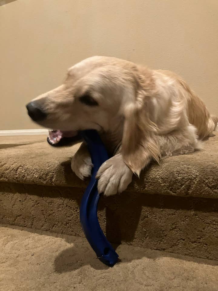 “S” Stick Toy – The Big River for wholesale by Flexifetch