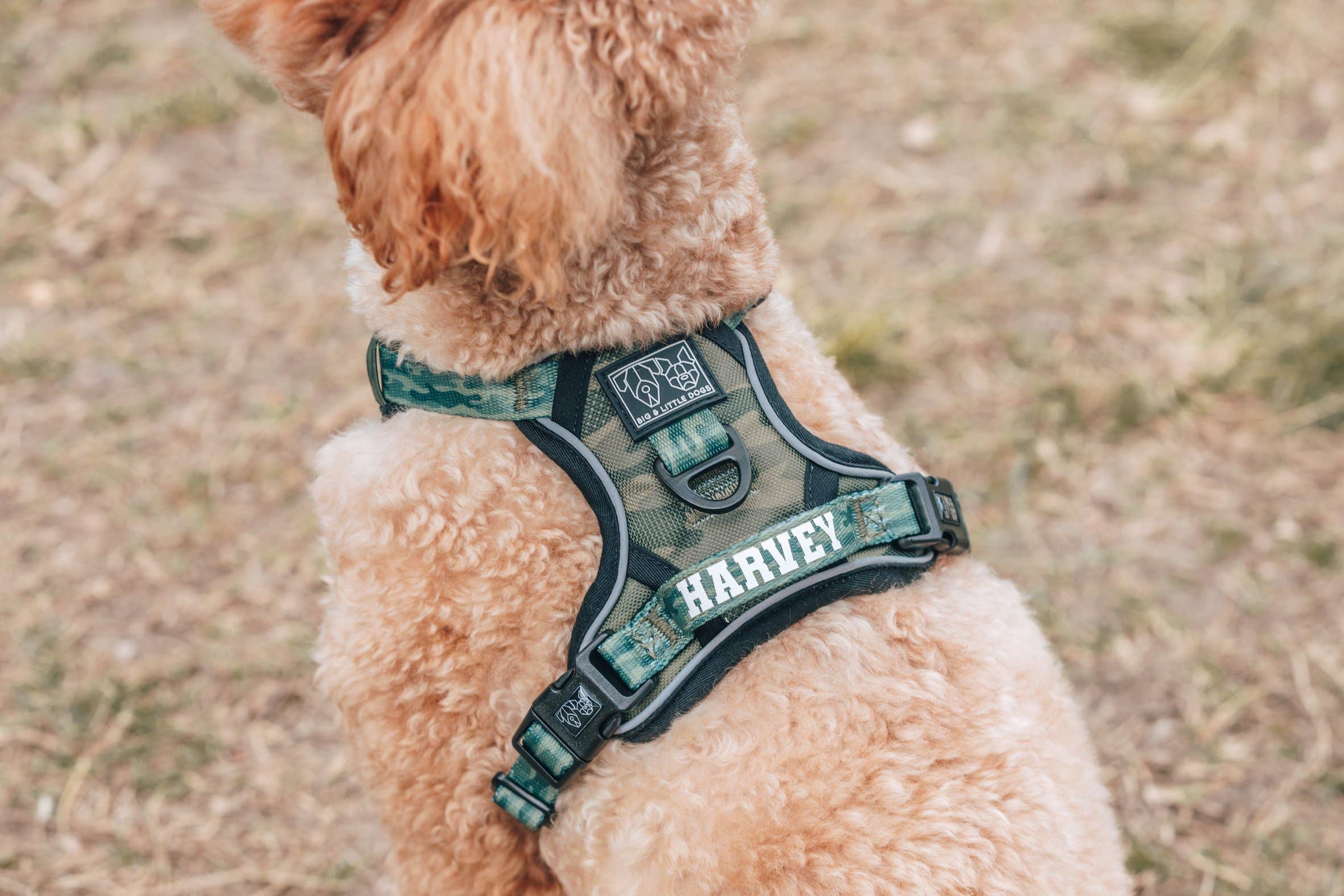 Big and Little Dogs – Engroshandel Kæledyrssele – Hund – Big and Little Dogs camoufleret allround sele til hunde5