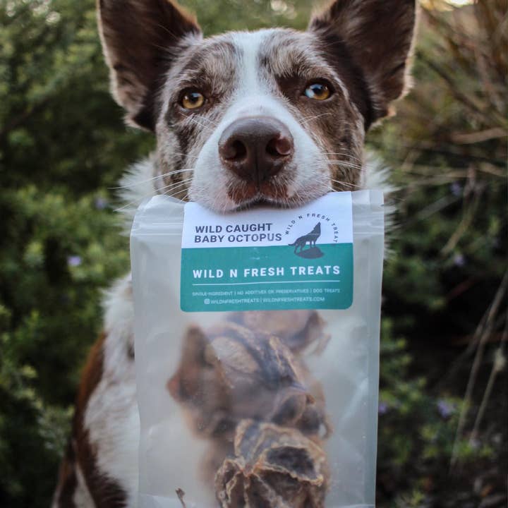 Wild n Fresh Treats - Wholesale Pet Treats - Dog - Dehydrated Wild Baby Octopus