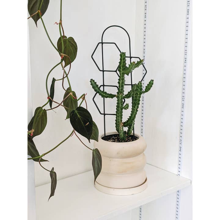 PlantsNsht - Wholesale Trellis - Metal Honeycomb Trellis2