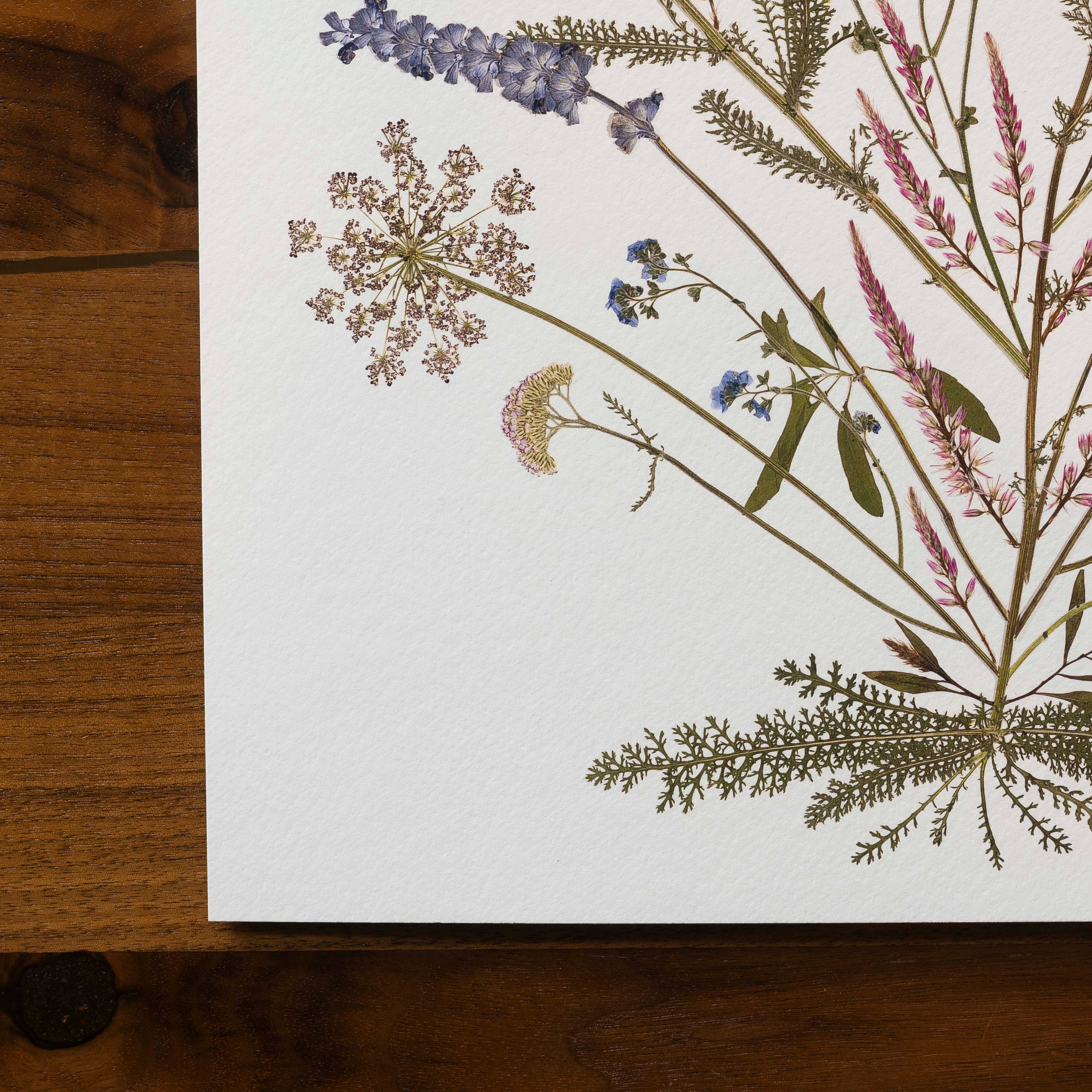 Hope Steinle Pressed Flower Art - Wholesale Art Print - Bloom As You Are3