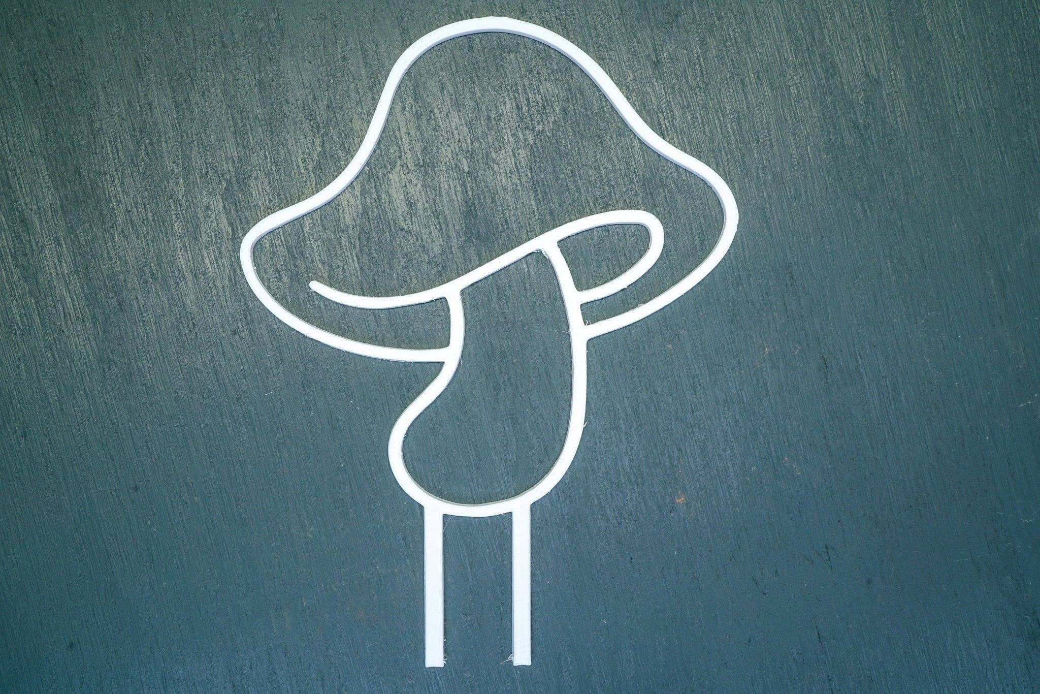 Rosebud Homegoods – Latada por atacado – Trellis de plantas de cogumelos3