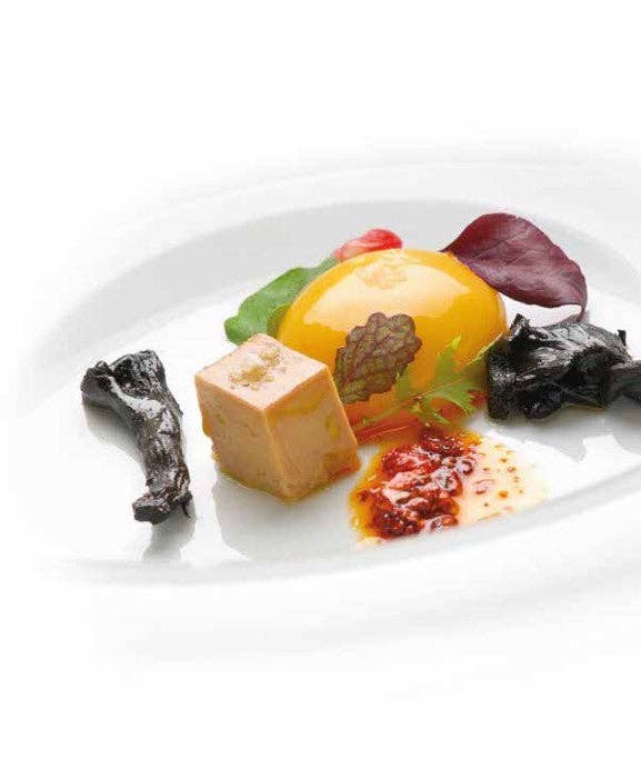 Khayyan Specialty Foods - Wholesale Gummy - Gellan Gum - TEXTURAS by Albert and Ferran Adrià6