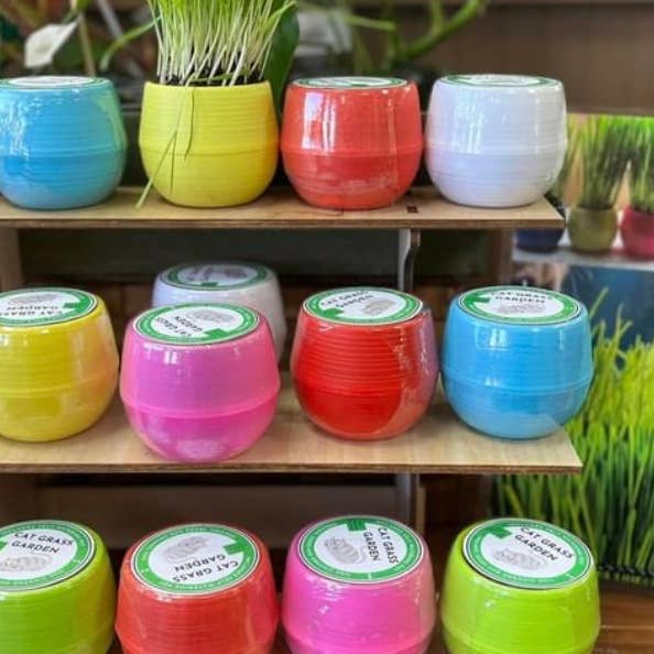 Mom’s Indoor Cat - Wholesale Pet Toy - Cat - Cat Grass Garden Balls 3