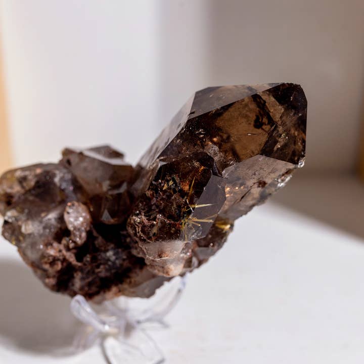 Quarzo Fumé Lodalite con Rutilo Dorato per la vendita all'ingrosso da parte di Dusk