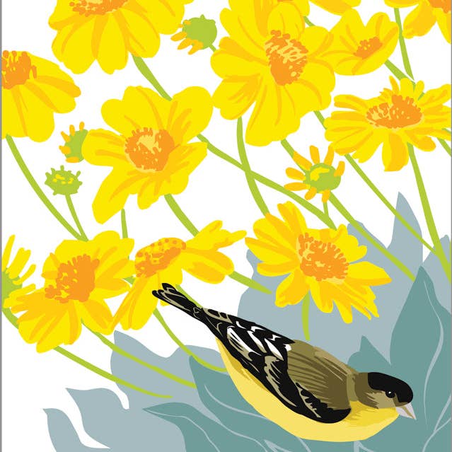 RBI-9171 Kunstdruck Stieglitz Lesser Goldfinch für den Großhandel von Rigel Paper