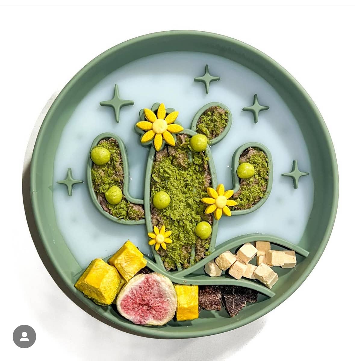 Barks and Brownies - Vente Gamelle – chat et chien - Gamelle lente pour chien motif cactus2