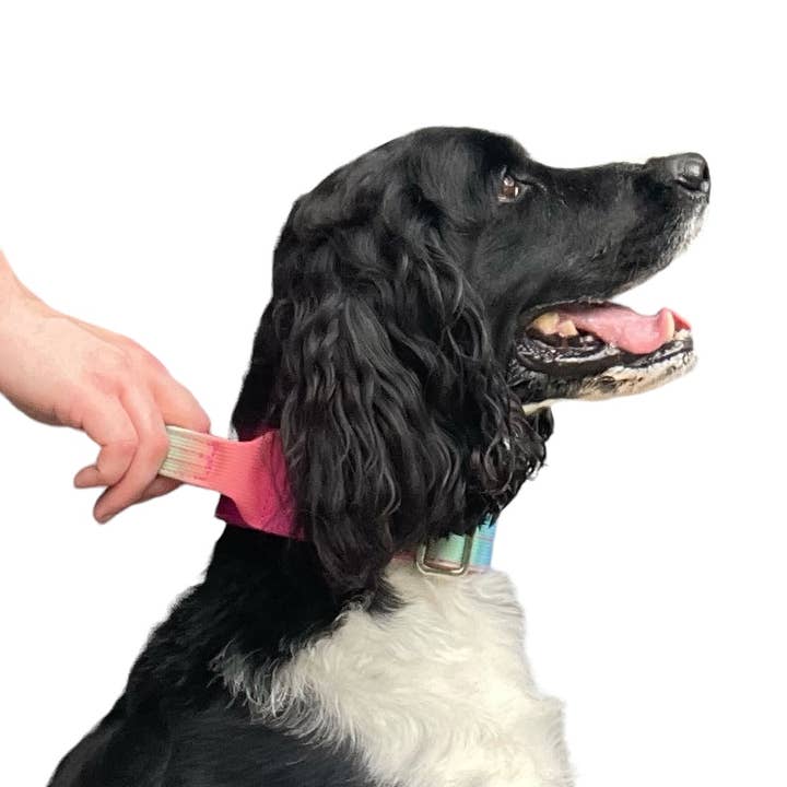 Koira - Wholesale Pet Collar - Dog - Tactical Dog Collar Pink to Purple Gradient (2"/ 5cm)