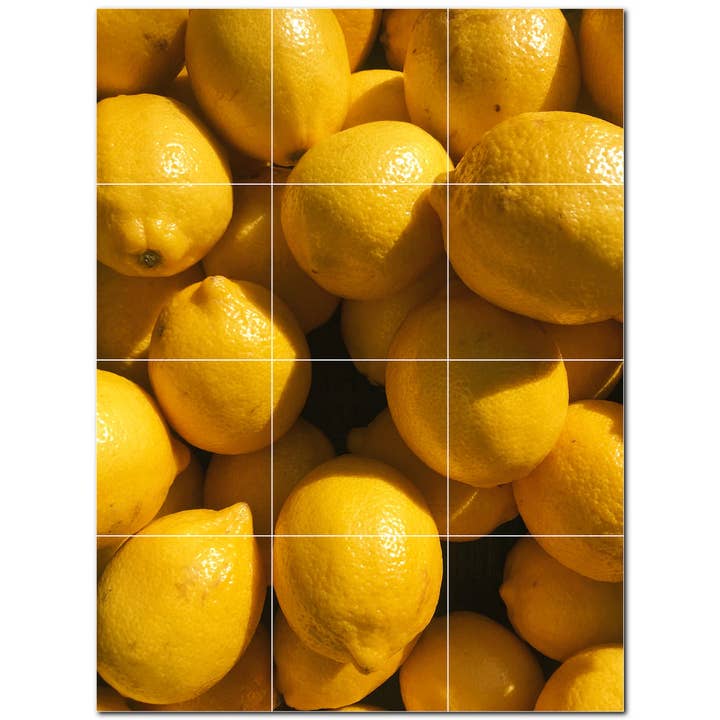 Fruit Ceramic Tile Ceramic Tile Mural PT500668 for wholesale by Picture-Tiles.com