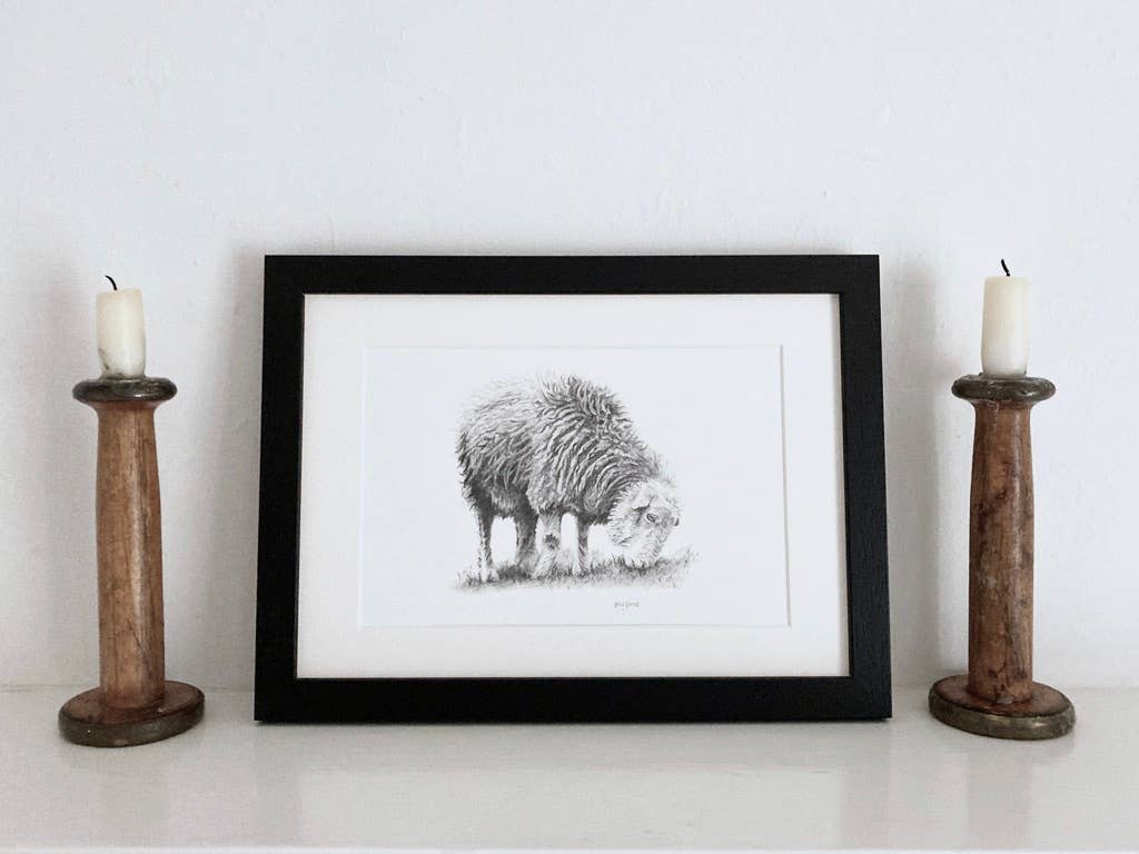 Kelly Barnes Portraits – wholesale Art print – Herdwick Sheep Mounted Print | Pencil Drawing | Farm Animals6