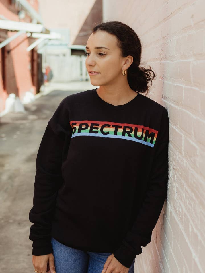 Retro Spectrum Sweatshirt for wholesale by Bayou Blend Apparel