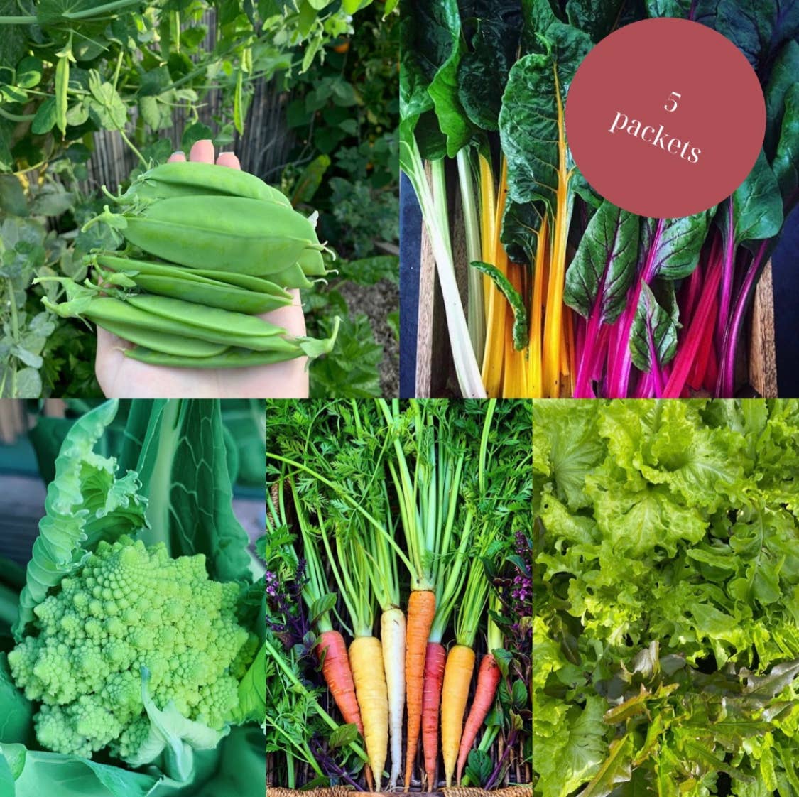 Urban Veggie Patch - Wholesale Plant seeds - Winter Garden in a Bag0