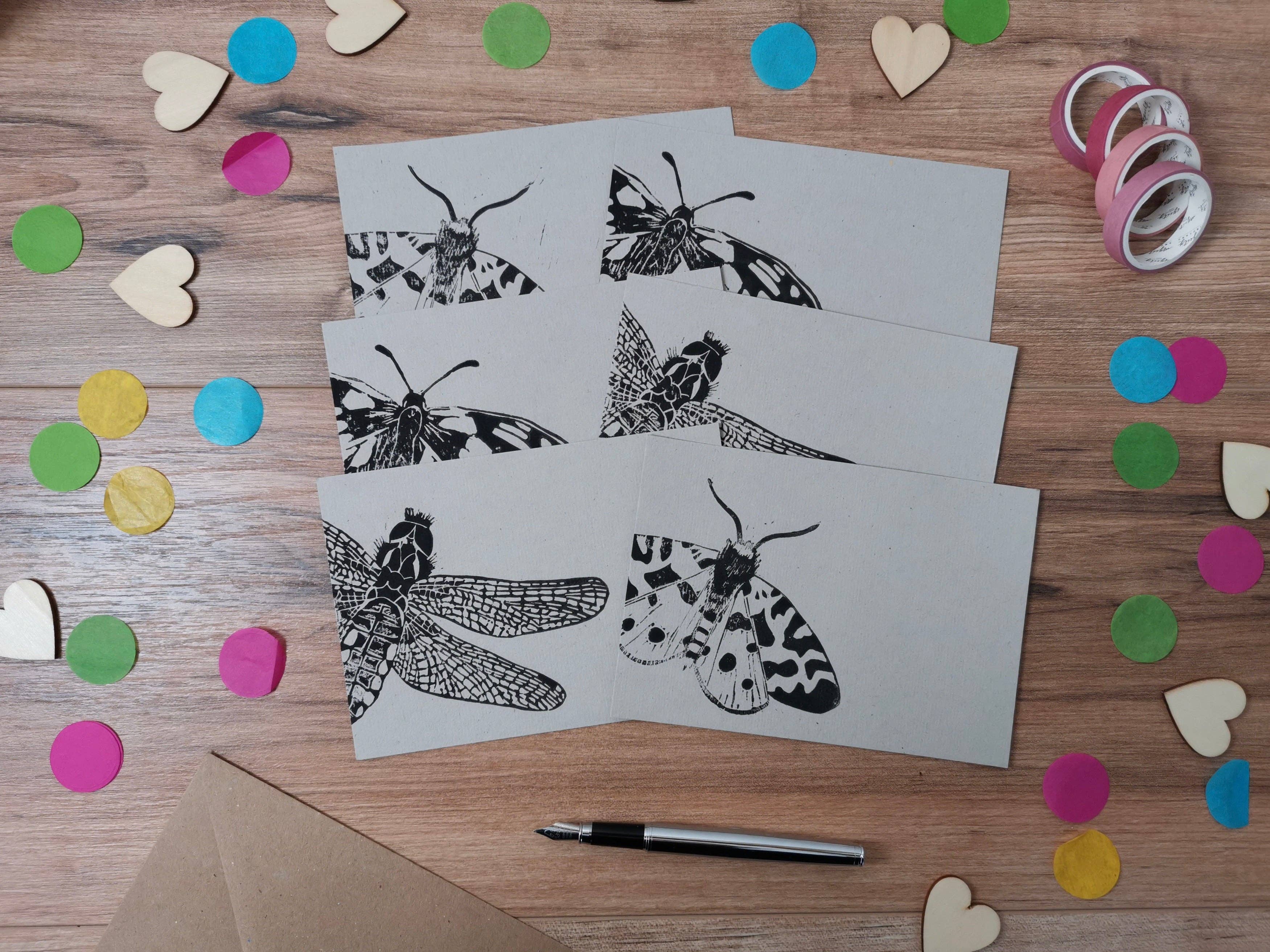 Jackdaw and Bear - Wholesale Stationery/Notecard Set - Insect notecards, a6 notelets2