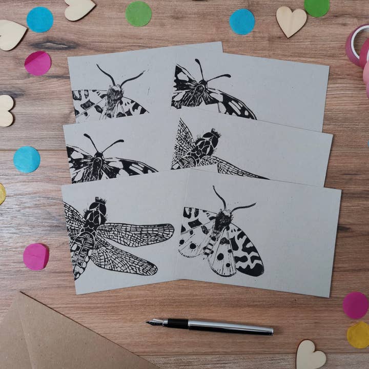 Jackdaw and Bear - Wholesale Stationery/Notecard Set - Insect notecards, a6 notelets2