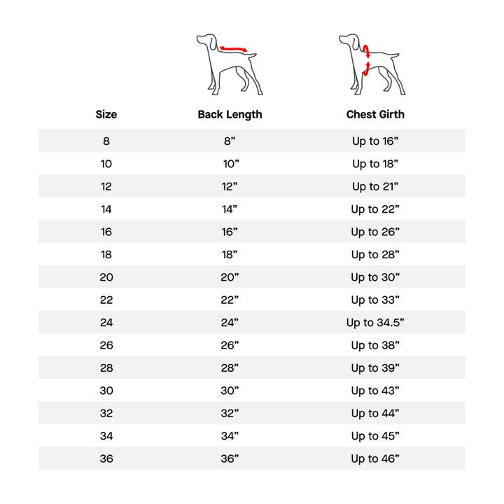 Canada Pooch – wholesale Overall
- Katt och hund – The Slush Suit – hundoverall16