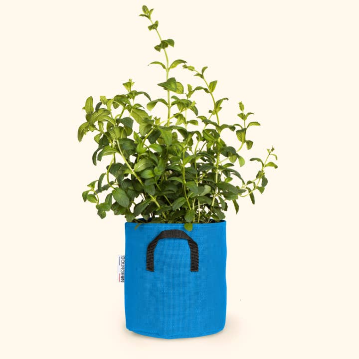 Planting pot in breathable geotextile Ø20cm - Blue for wholesale by Bourgeon