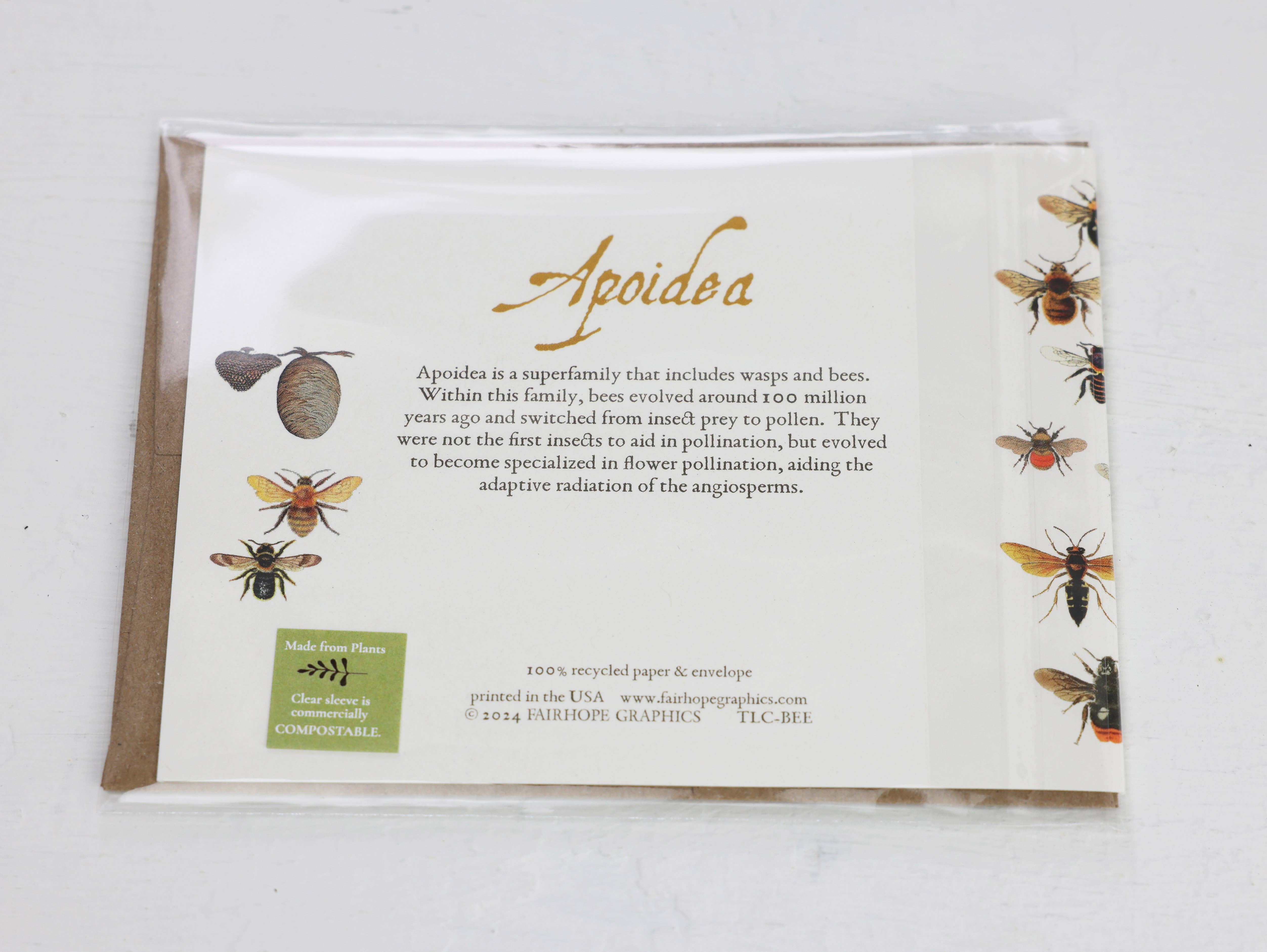 Fairhope Graphics - Wholesale Everyday Greeting Card - Bees Card2