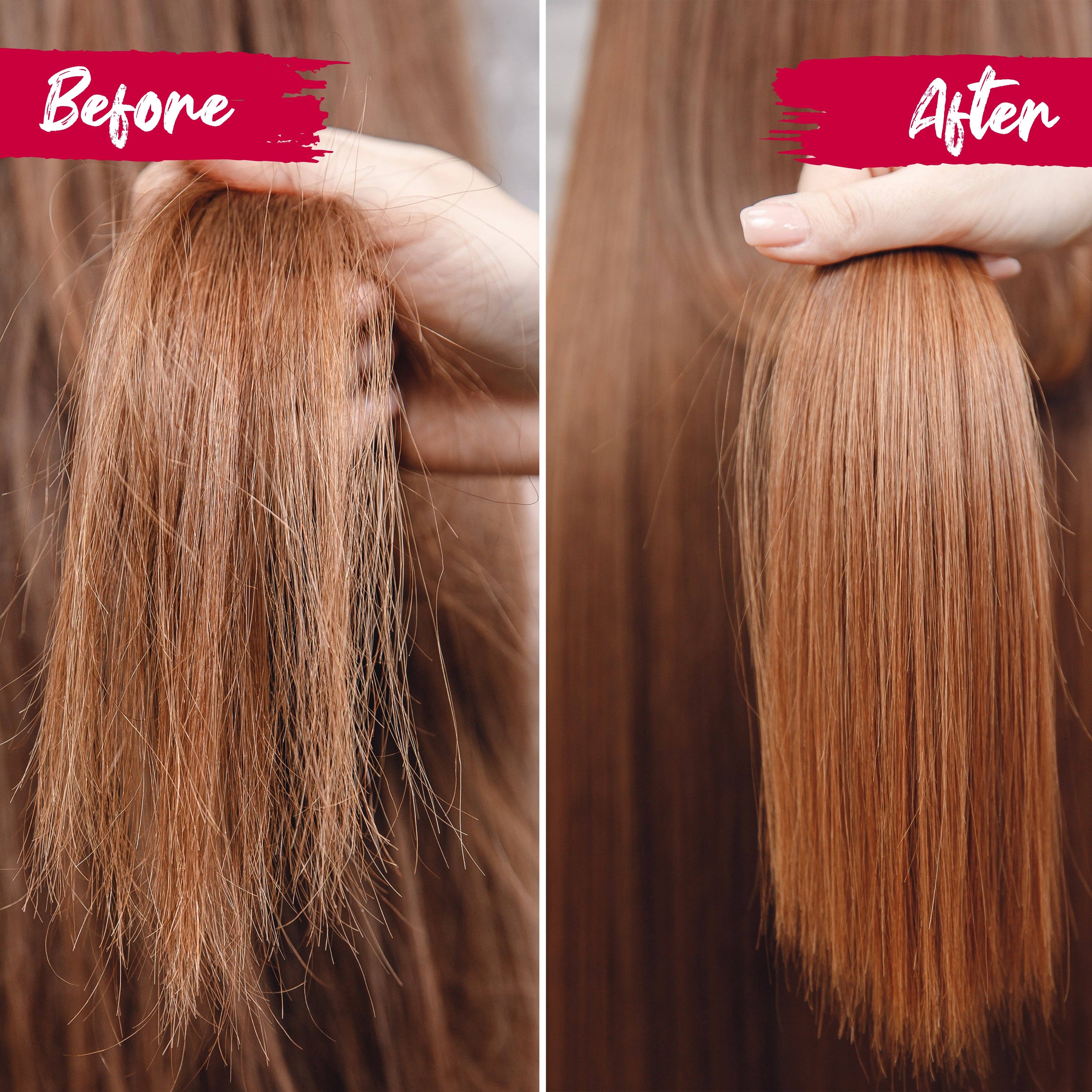 Viori Beauty - Wholesale Shampoo Puck/Solid Shampoo - Bundle | Travel Size Shampoo Bar & Conditioner Bar | Asstd.5