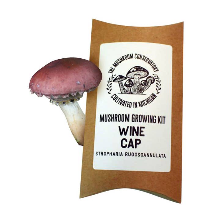 Kit de culture de champignons gastronomiques Wine Cap pour la vente par The Mushroom Conservatory LLC