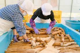 Japan Artisans - Wholesale Pickled Vegetables - Kinnokura-Smoked Radish 300g Smoky Vegan Iburigakko10