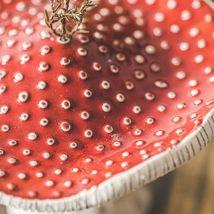 DanutÄ— MurauskienÄ— - Wholesale Incense Holder - Fly agaric incense holder2