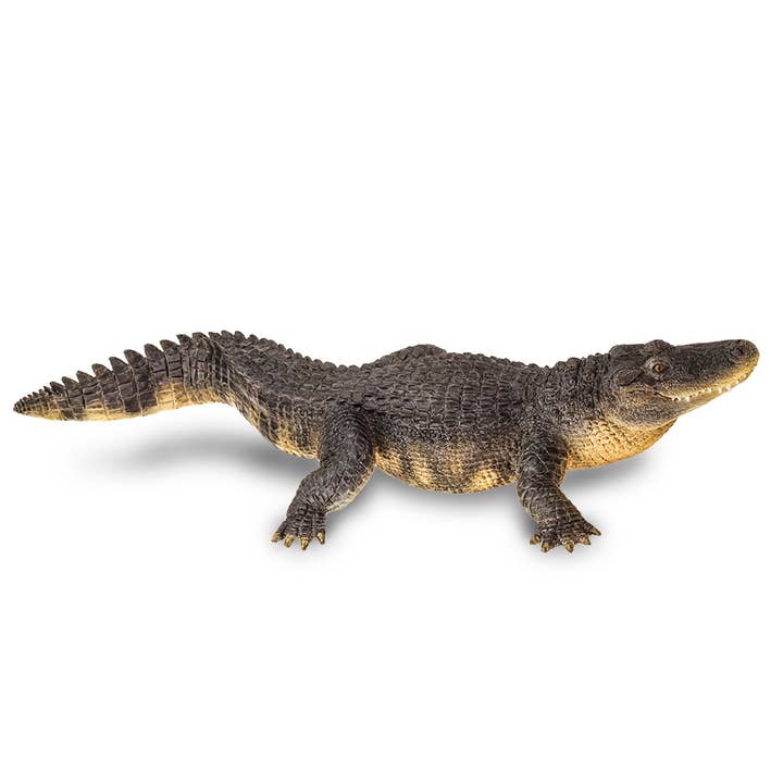 Safari Ltd. - Wholesale Figurine Toy - Kids - Wildlife Alligator Figurine Toy for Kids3