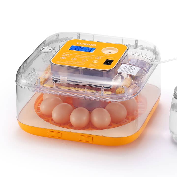 Neighborhood Egg Incubator, 12 Eggs Capacity for wholesale by TURBRO